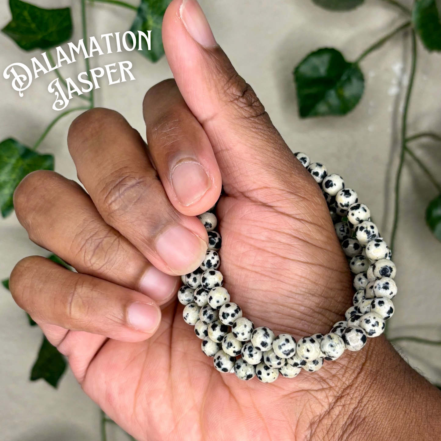 Dalmation Jasper Bracelets