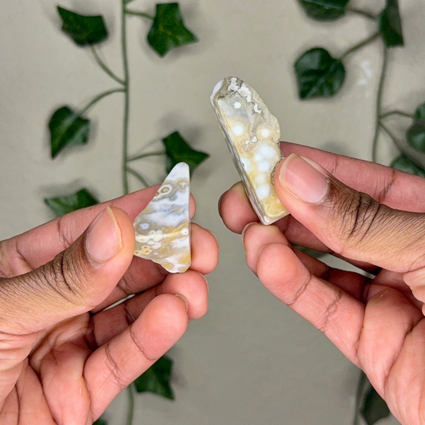 Oribicular Ocean Jasper Slabs