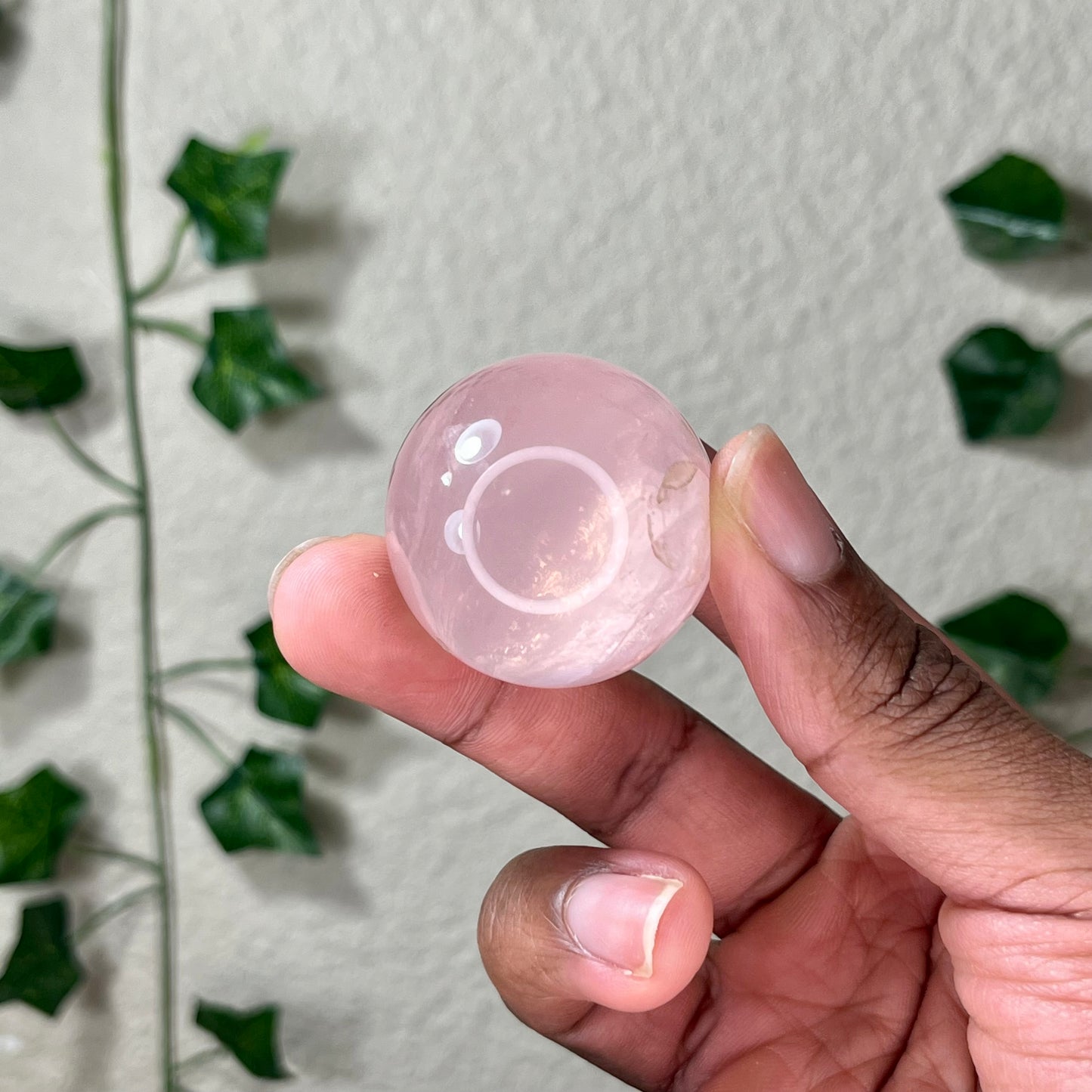 Mini Star Rose Spheres