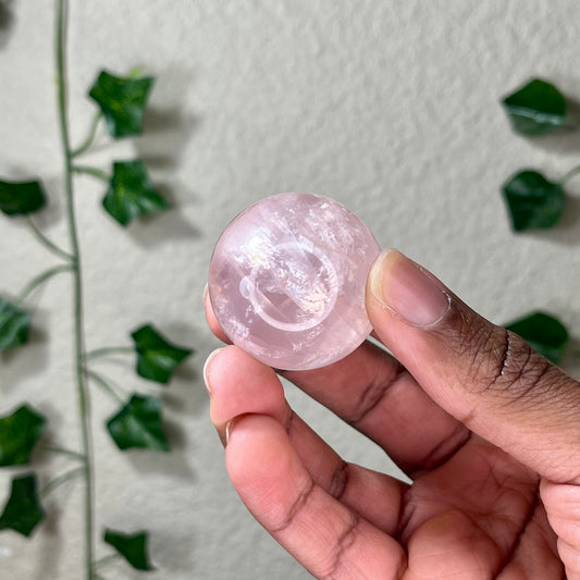 Mini Star Rose Spheres