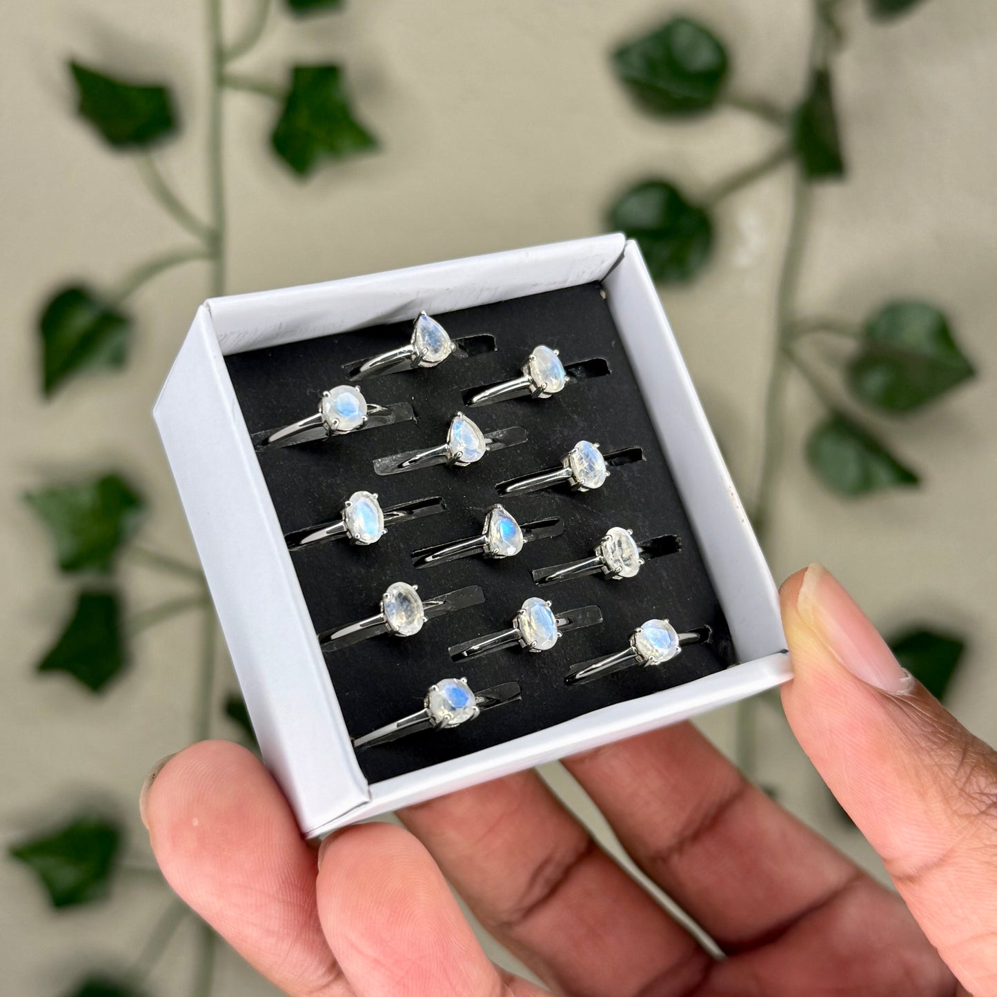 Faceted Moonstone Rings