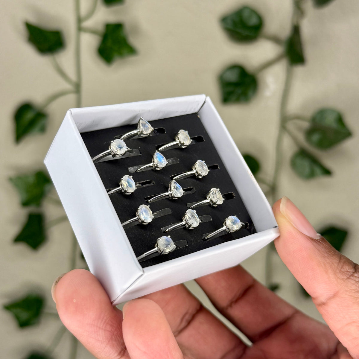 Faceted Moonstone Rings