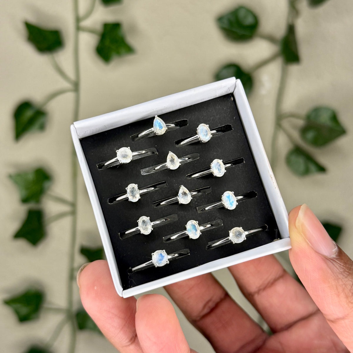 Faceted Moonstone Rings