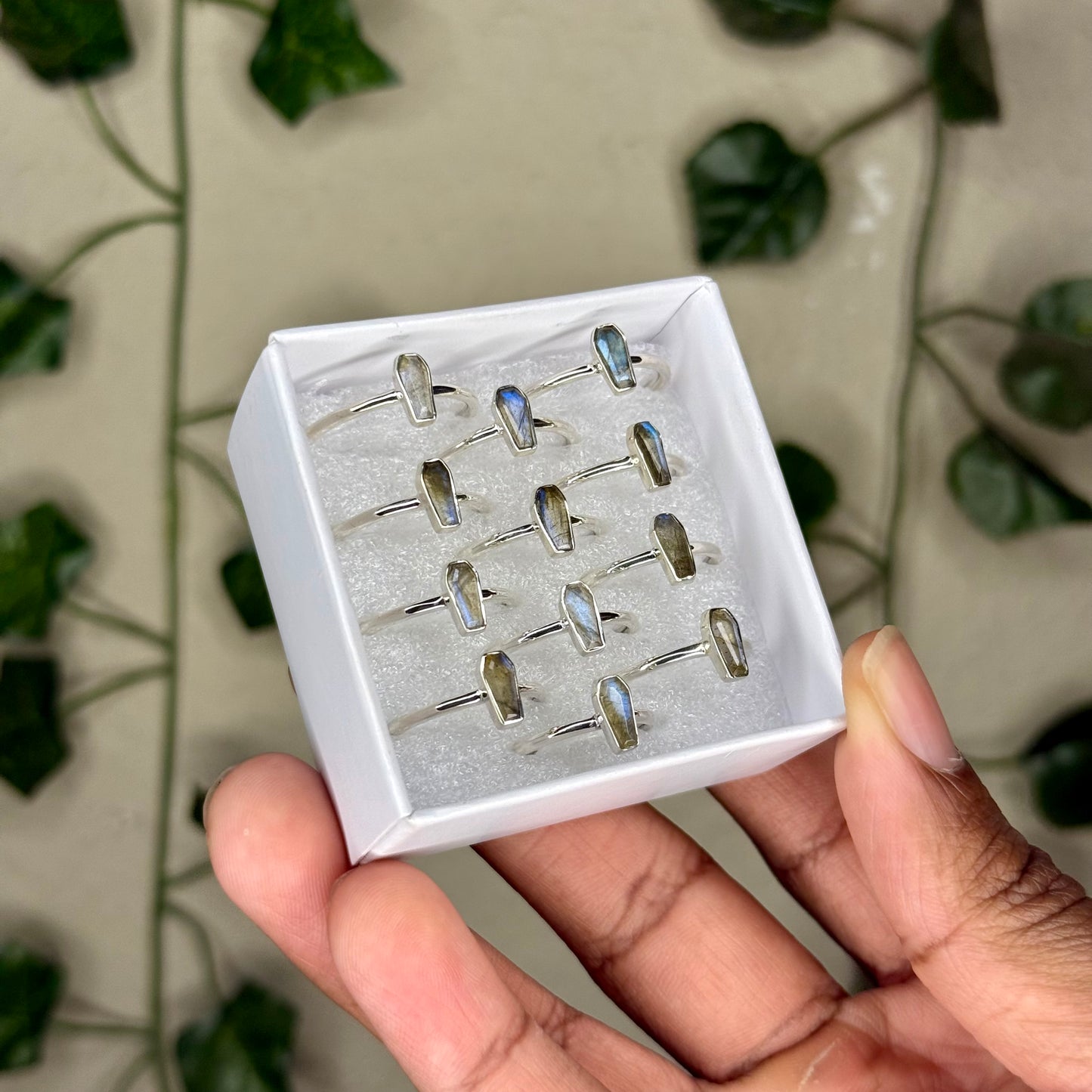 Labradorite Coffin Rings