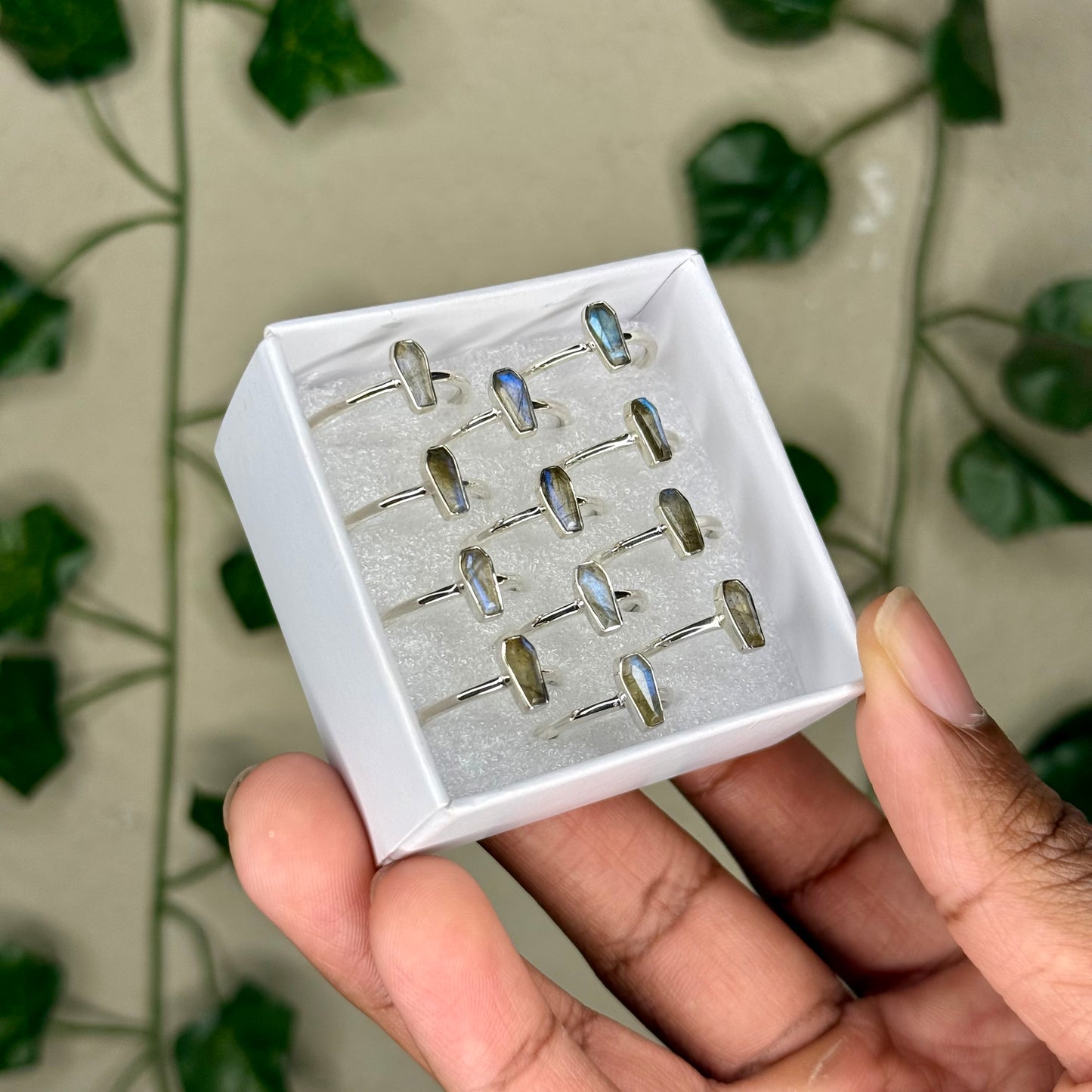 Labradorite Coffin Rings