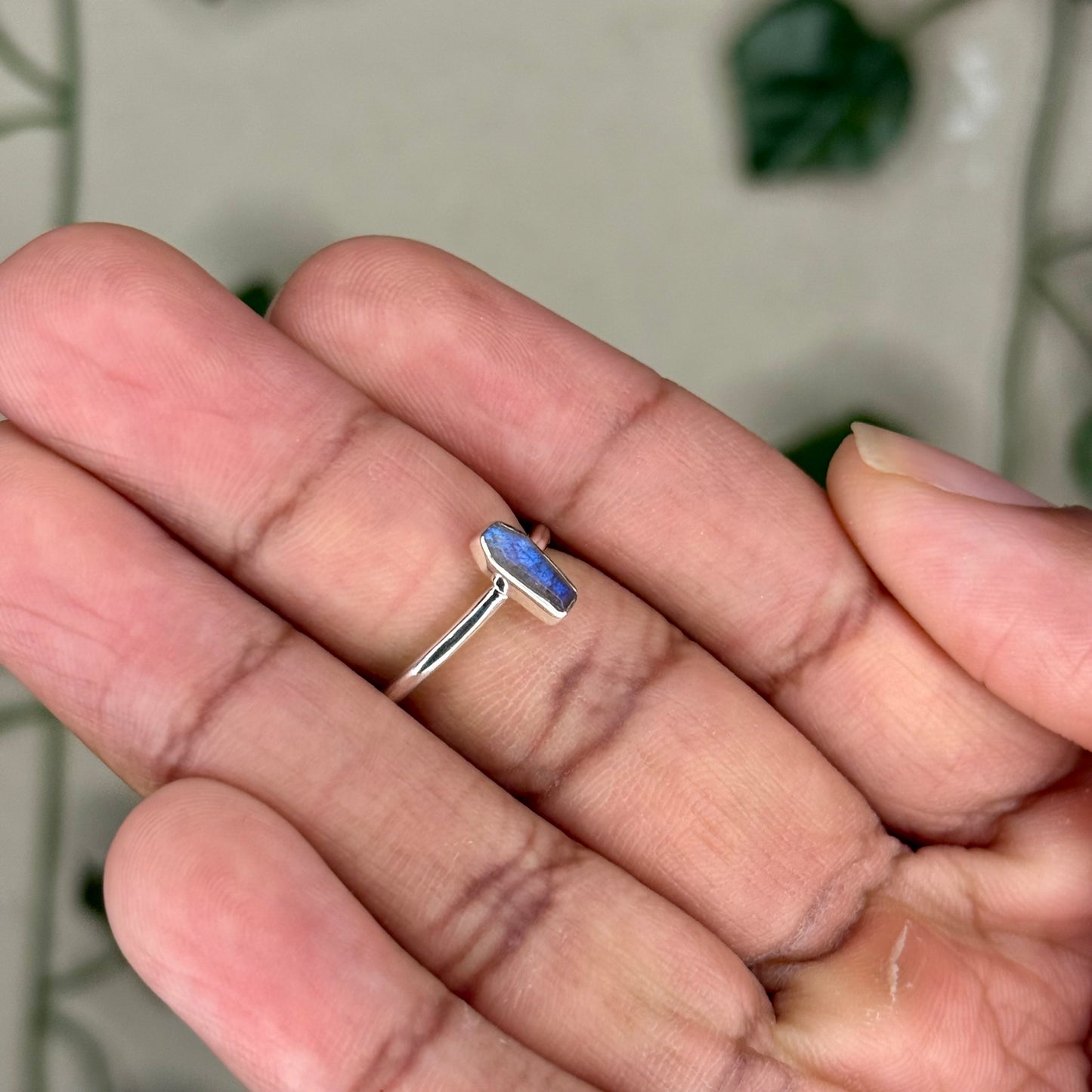 Labradorite Coffin Rings