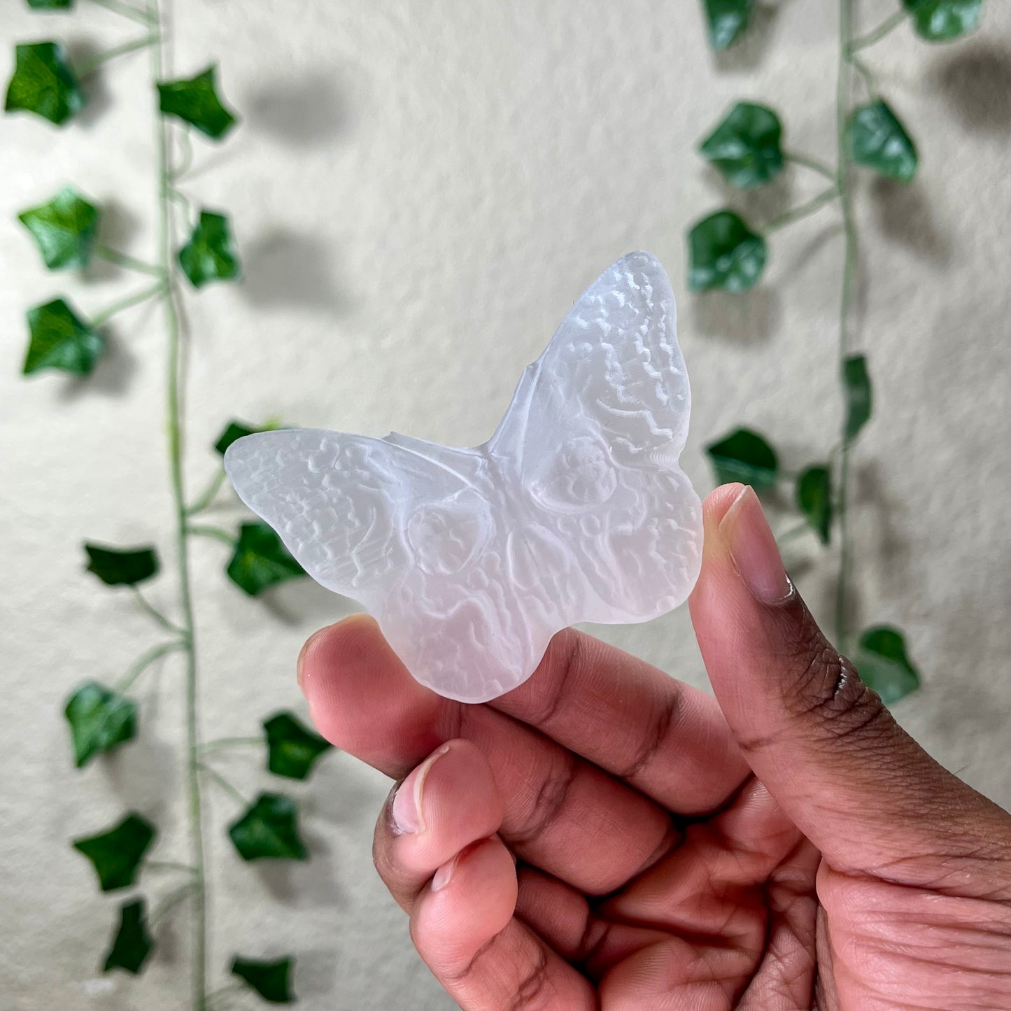 Selenite Moths
