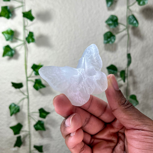 Selenite Moths