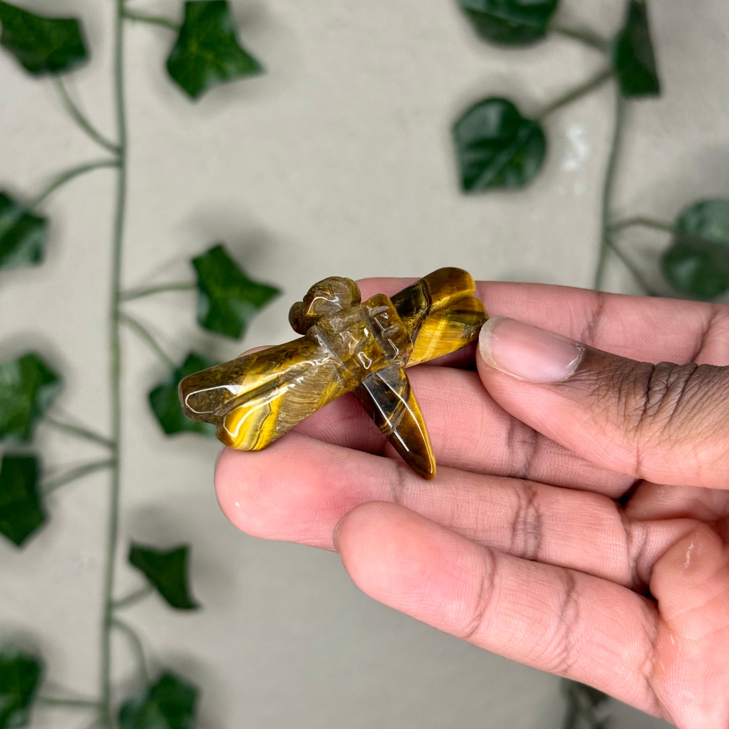Dragonfly Carvings