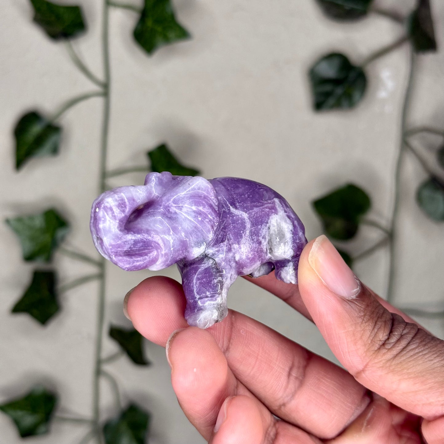 Elephant Carvings