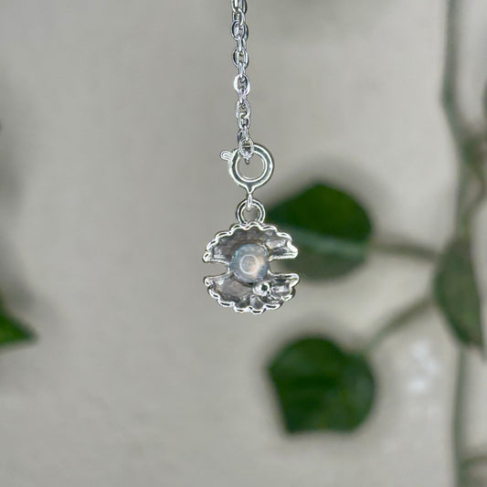 Labradorite Clam Shell Pendants