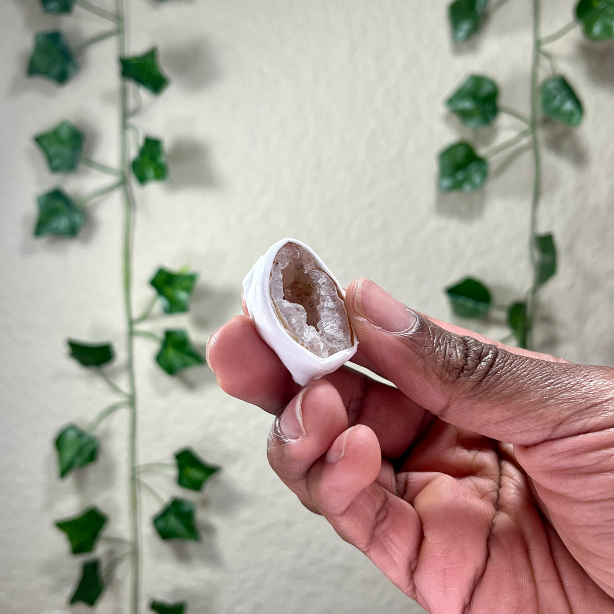 Mini Druzy Agate Geodes
