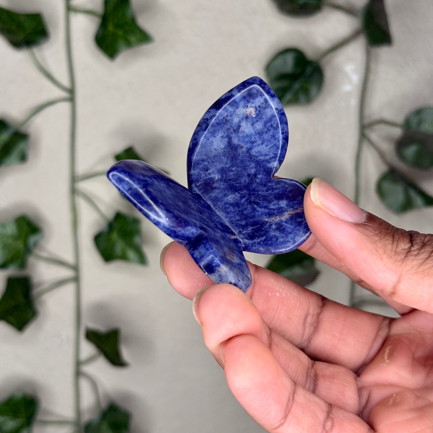 Sodalite 3D Butterflies