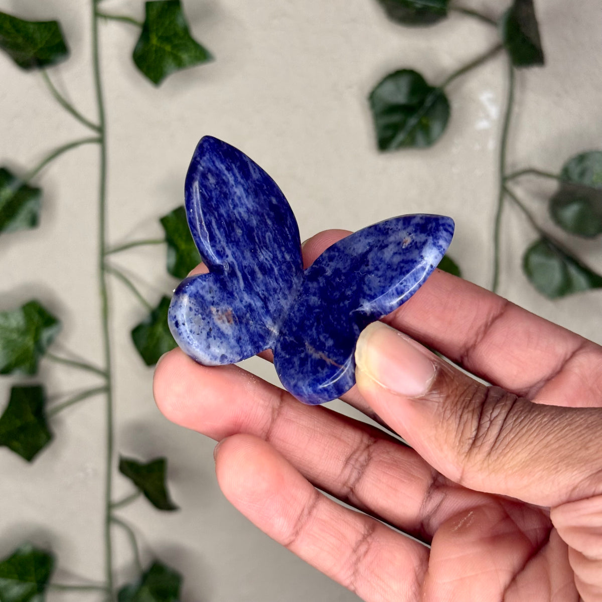 Sodalite 3D Butterflies