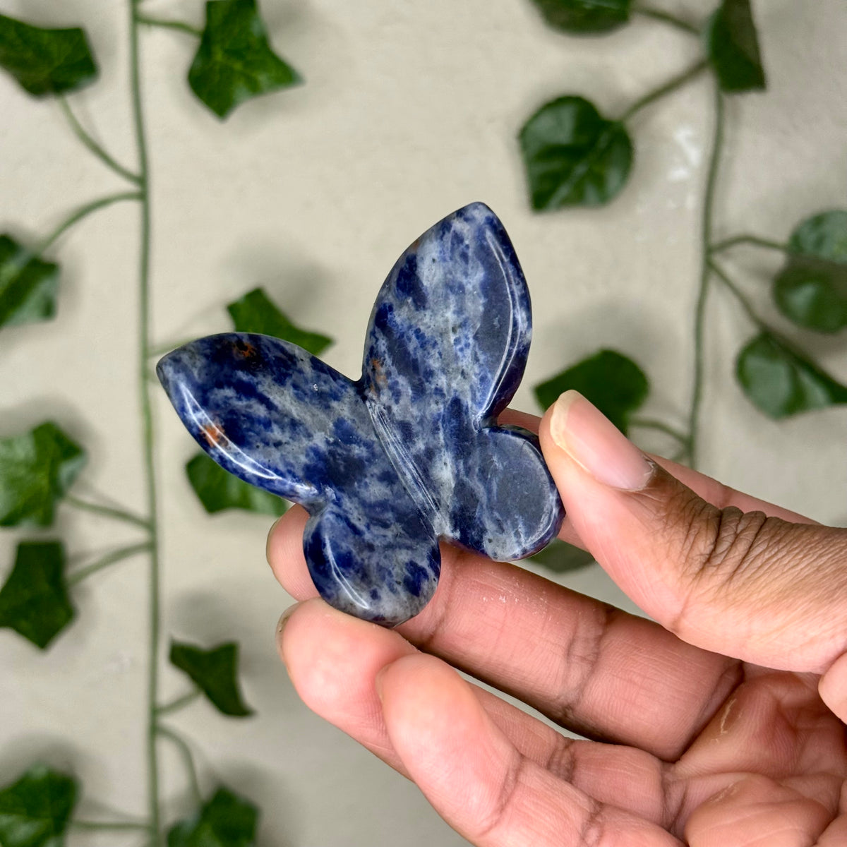 Sodalite 3D Butterflies
