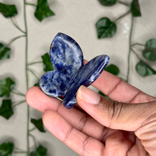 Sodalite 3D Butterflies