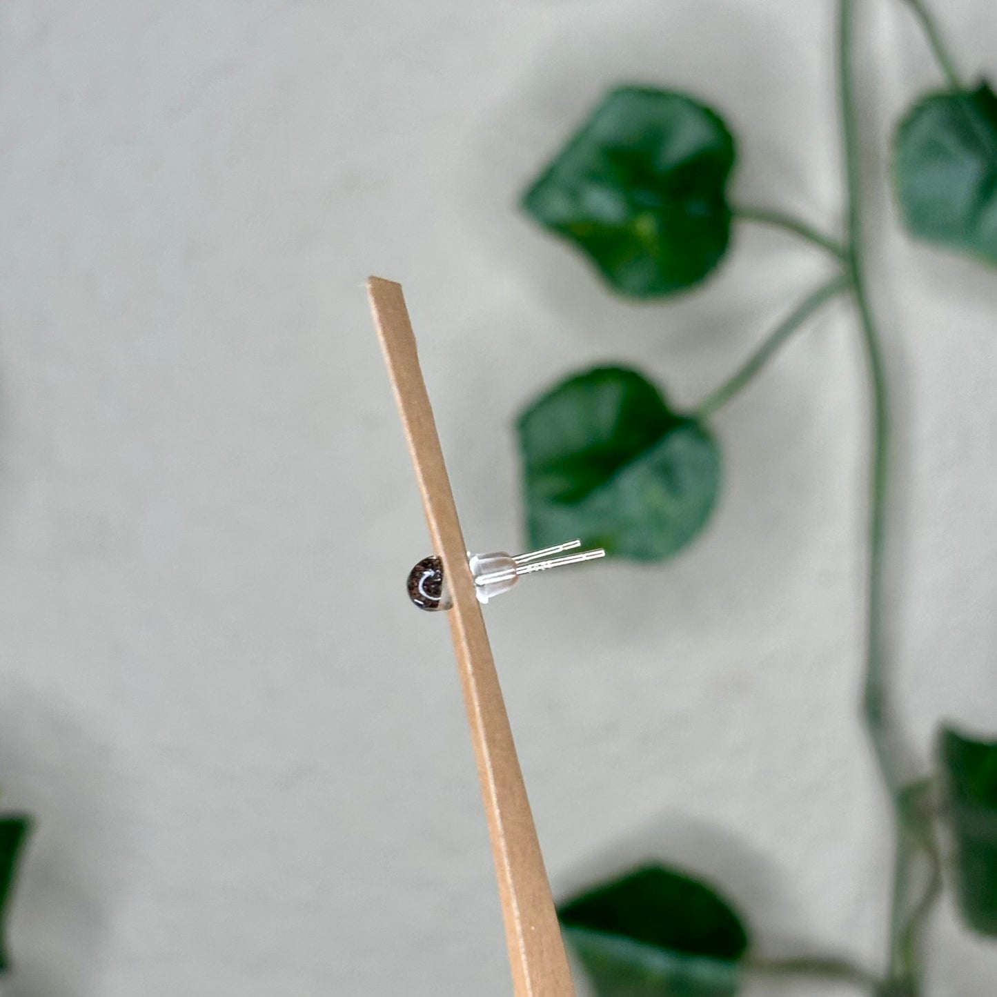 Garden Quartz Stud Earrings