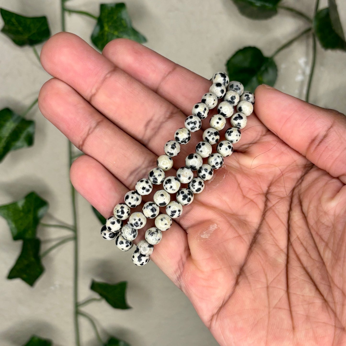 Dalmation Jasper Bracelets