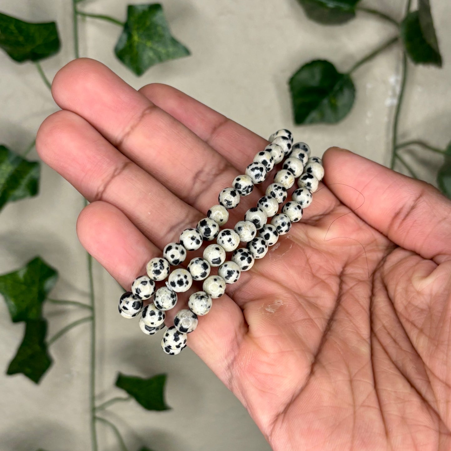 Dalmation Jasper Bracelets