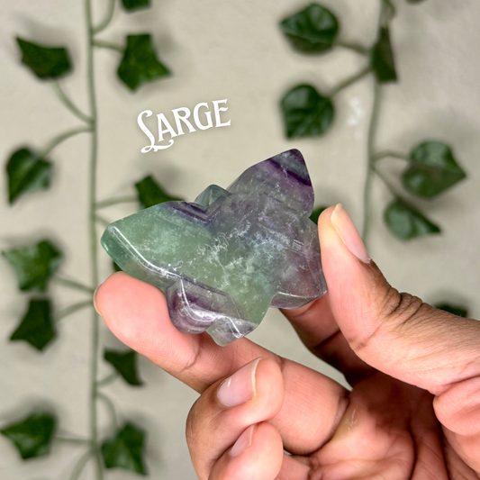 Candy Fluorite Butterflies