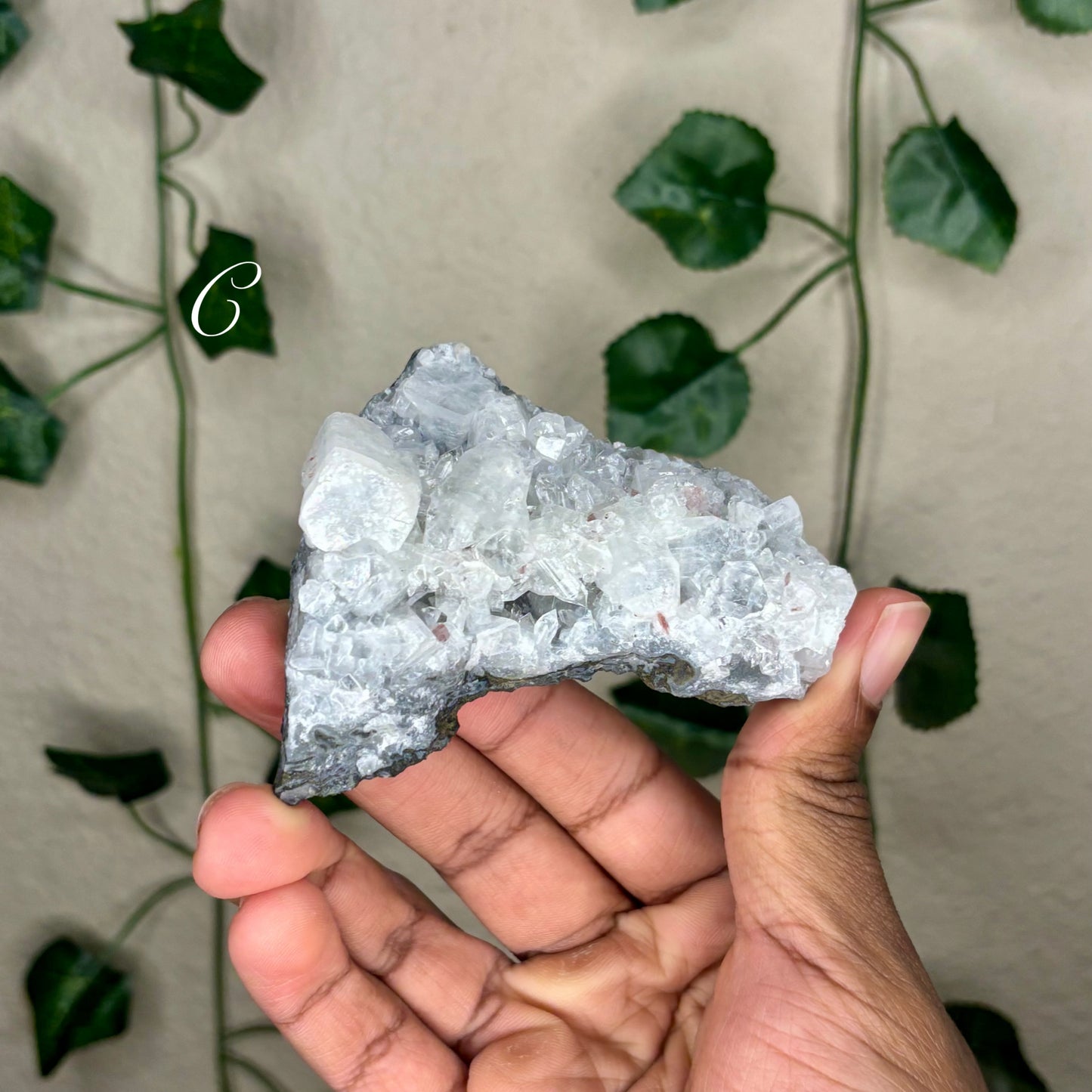 Apophyllite Clusters
