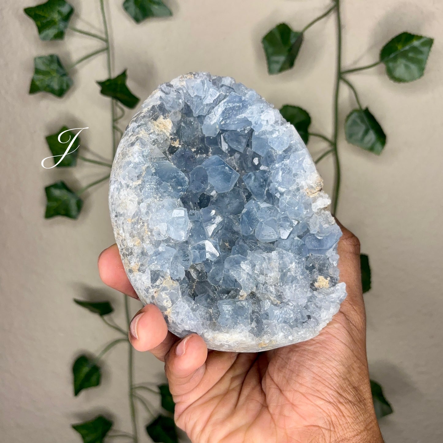 Celestite Clusters