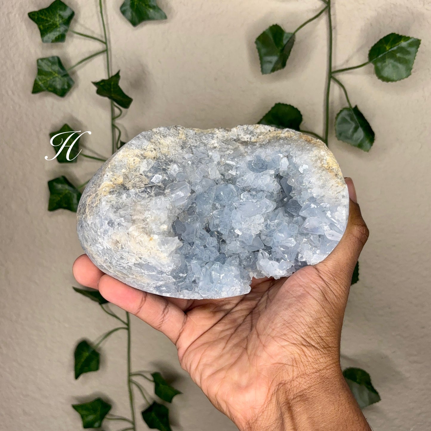 Celestite Clusters