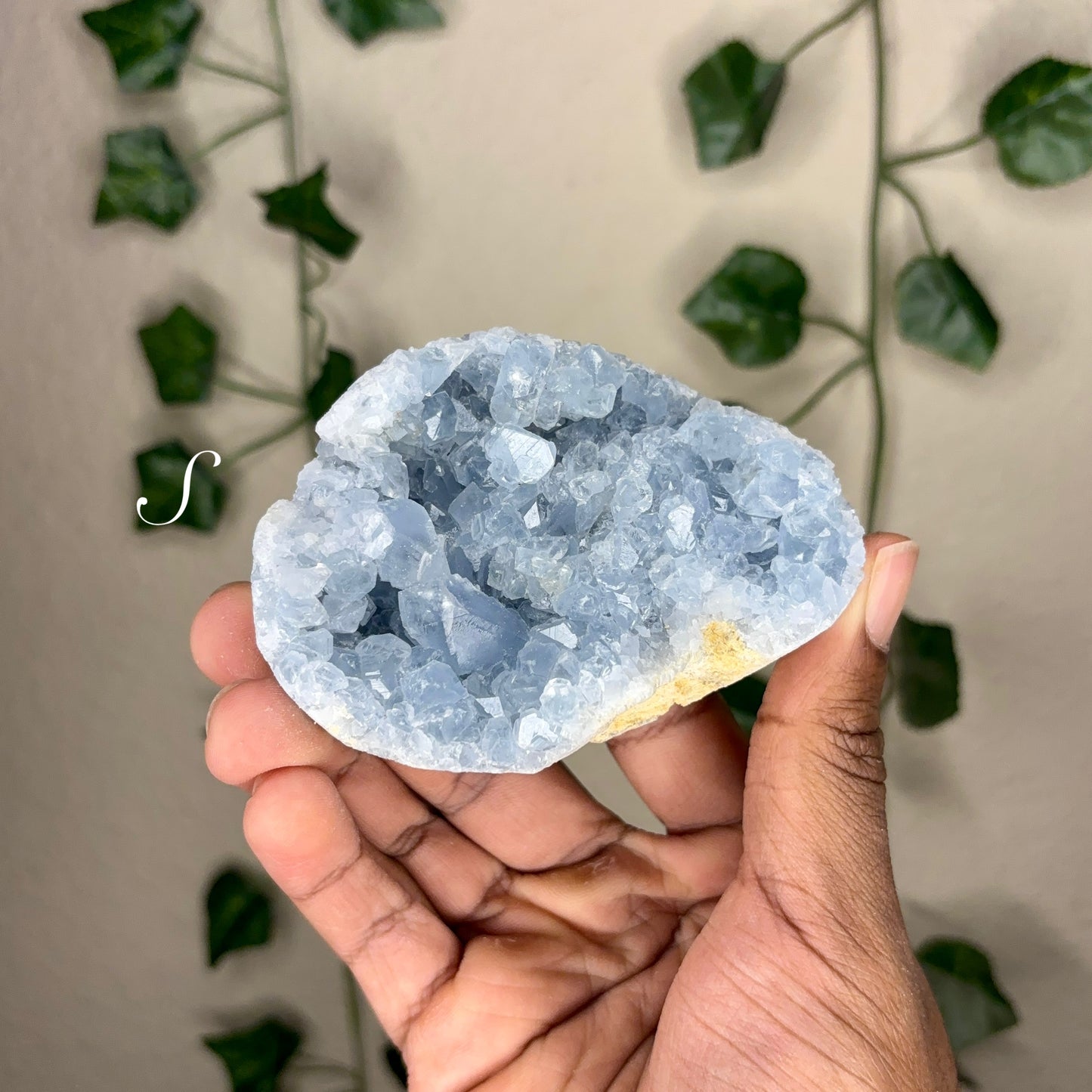 Celestite Clusters