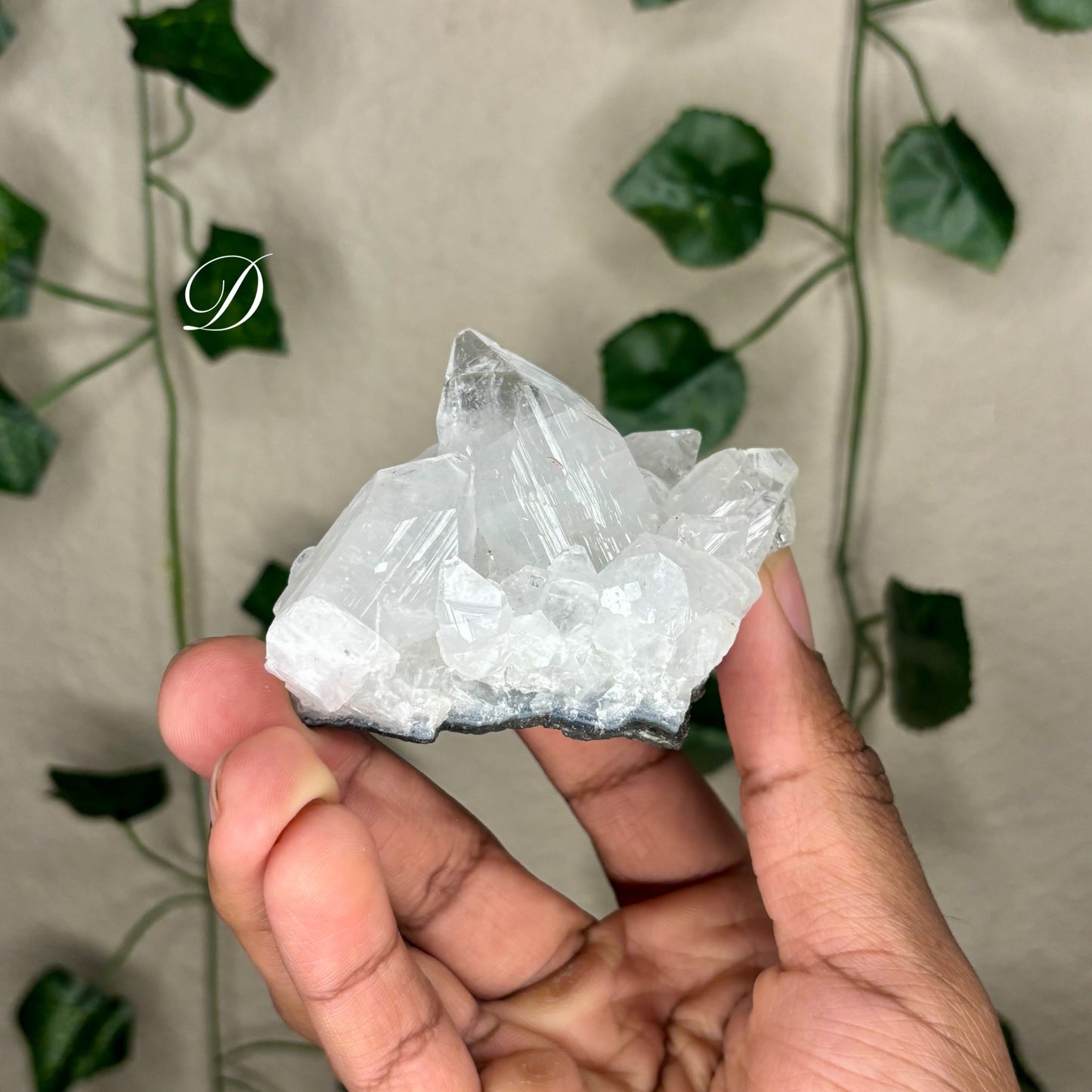 Apophyllite Clusters