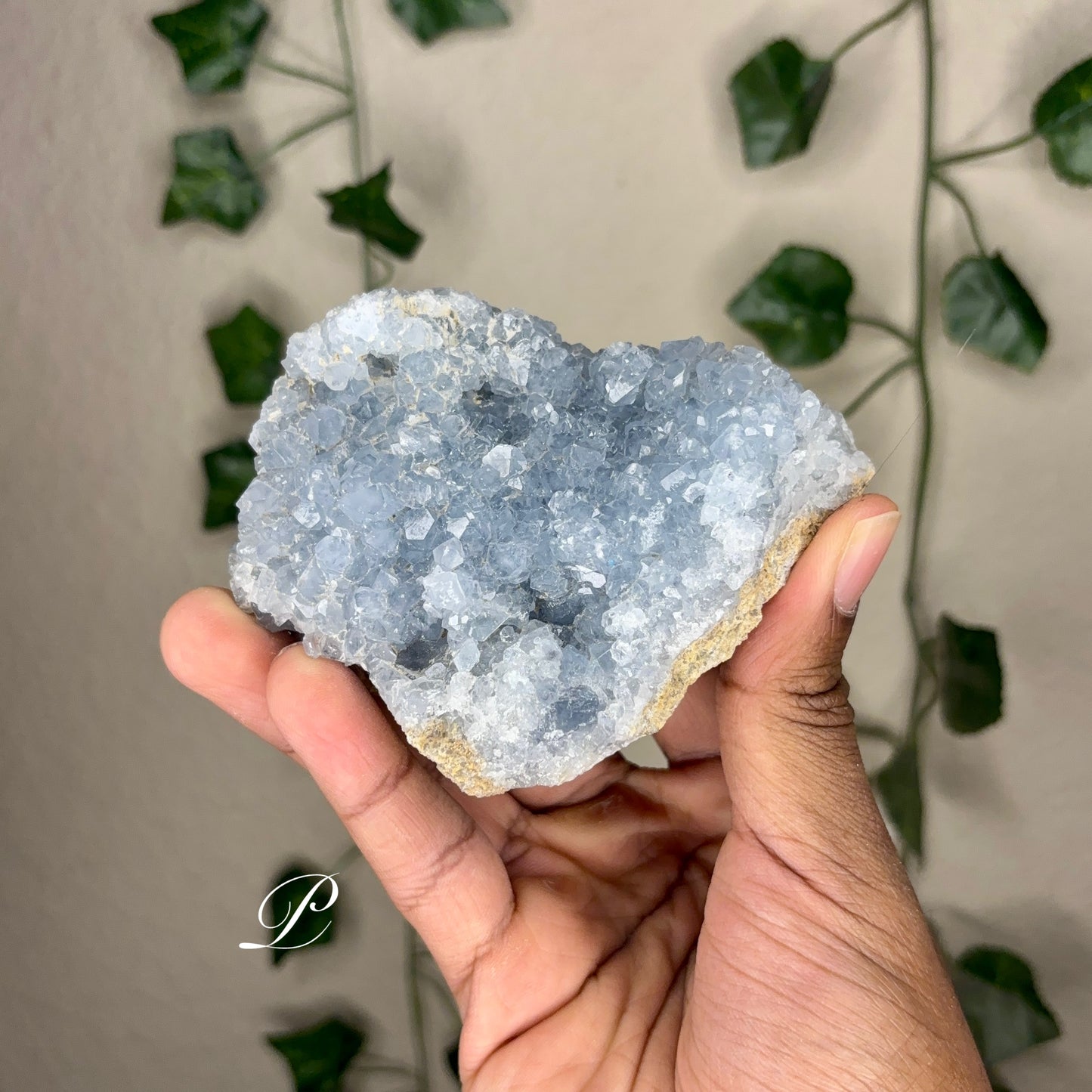 Celestite Clusters