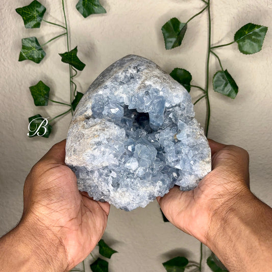 Celestite Clusters