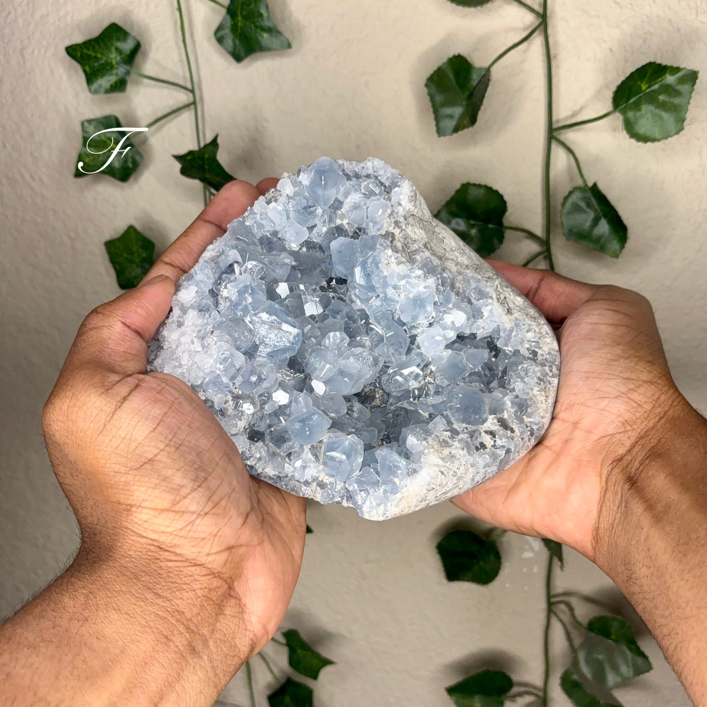 Celestite Clusters