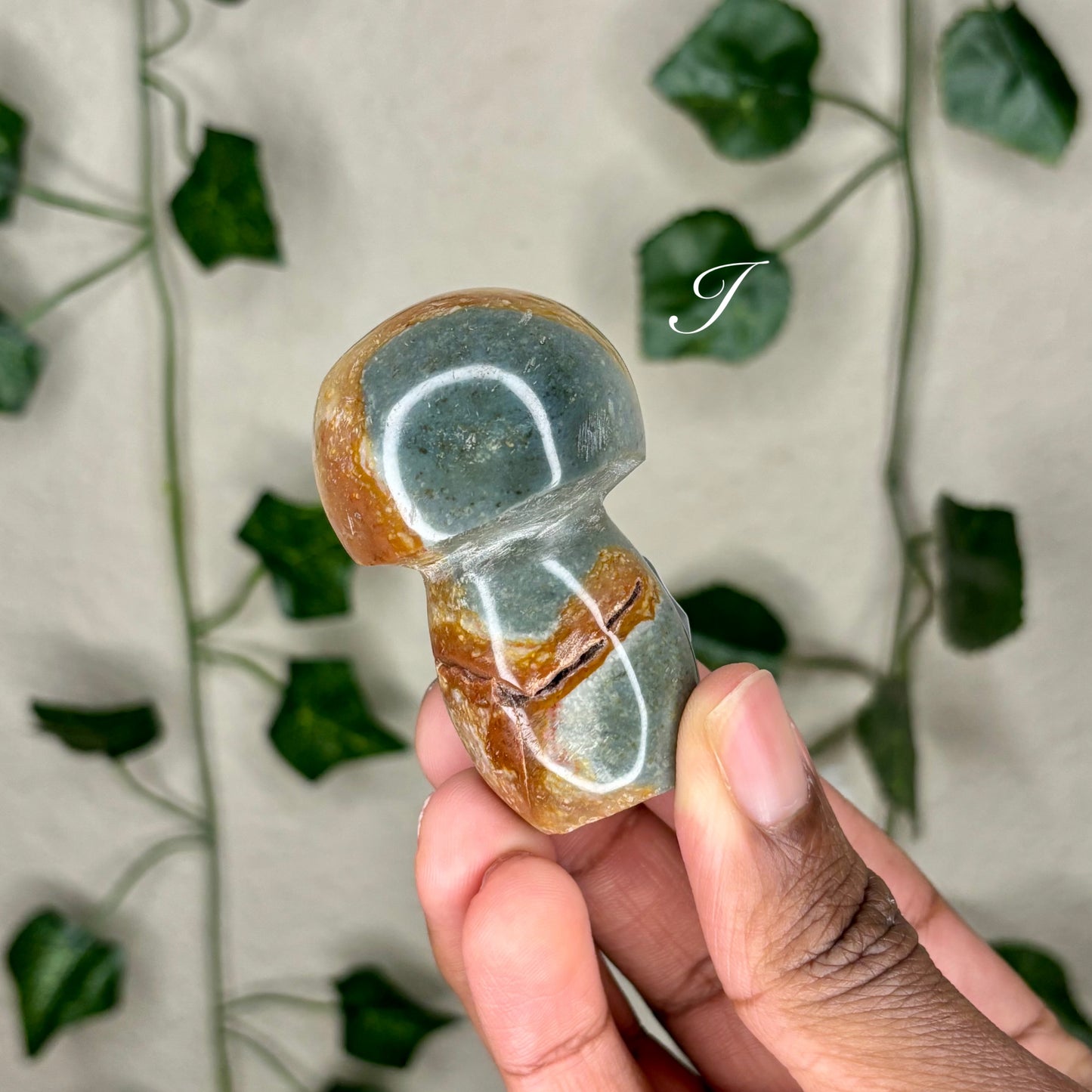 Polychrome Jasper Mushrooms