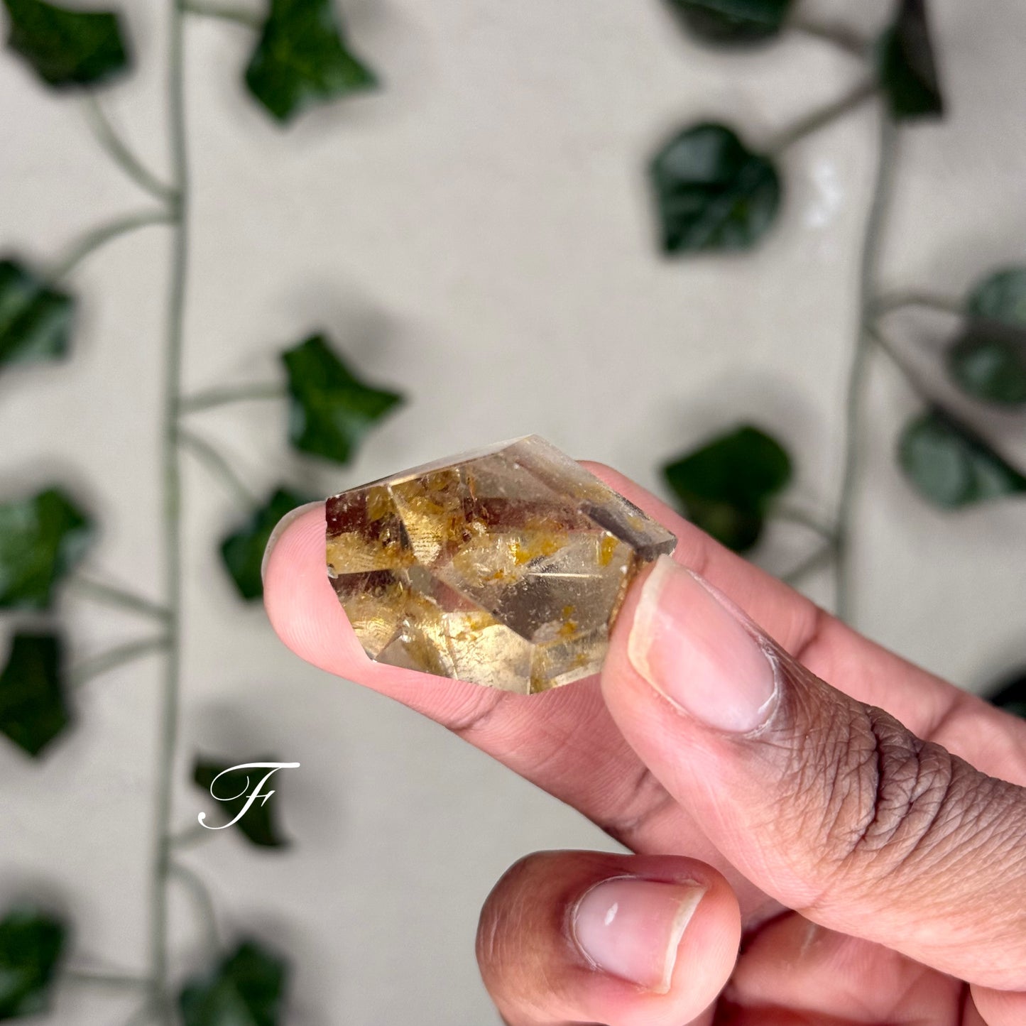 Smokey Quartz Freeforms