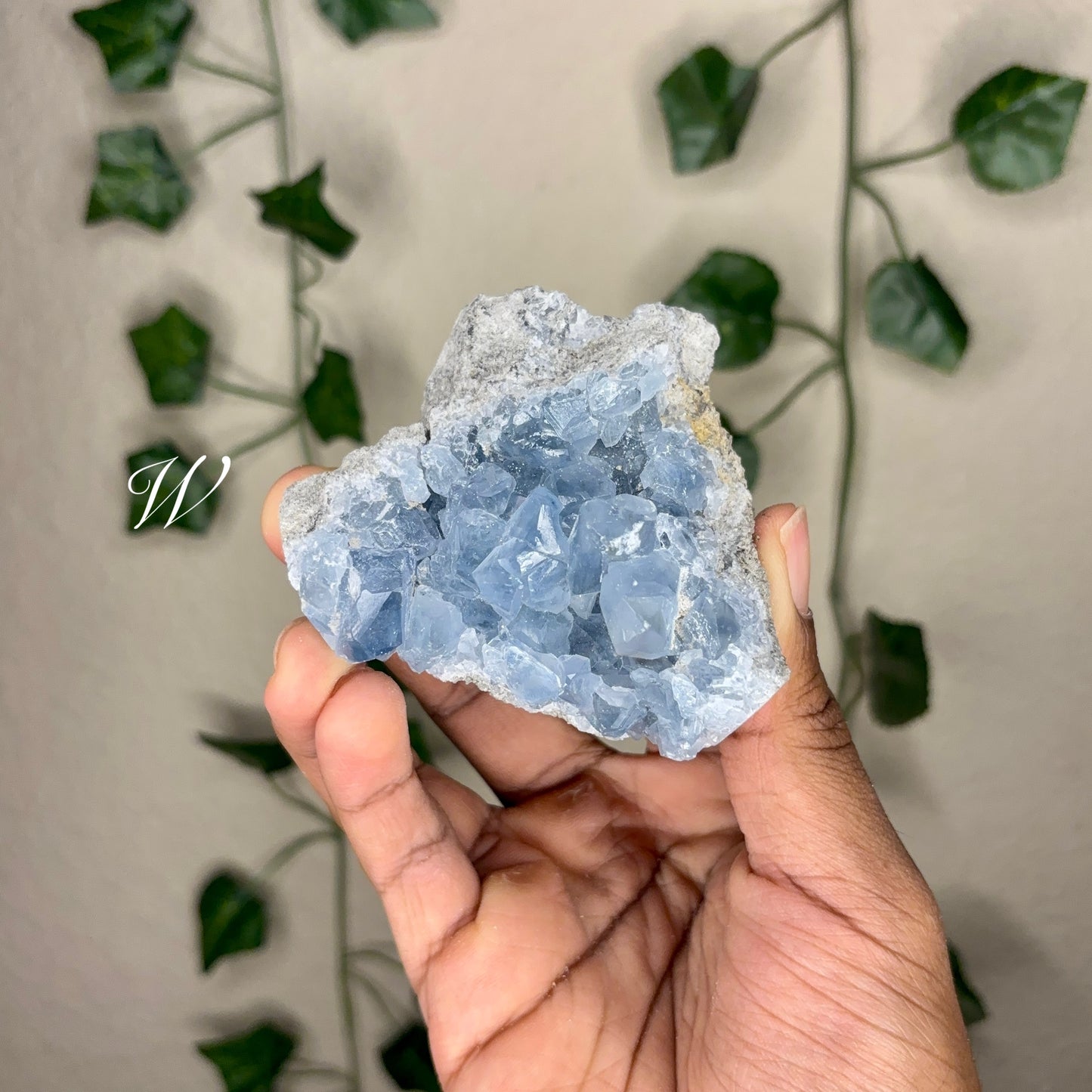 Celestite Clusters