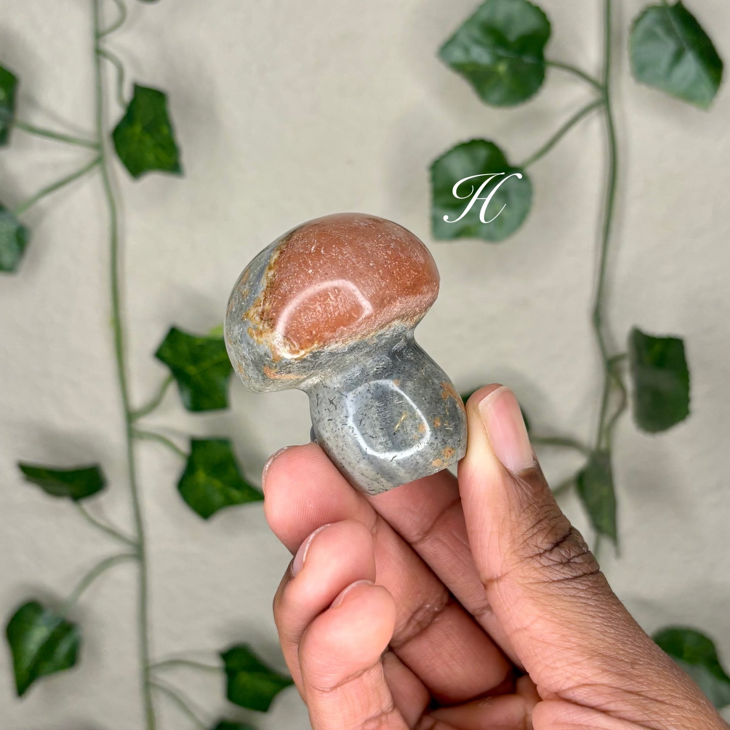 Polychrome Jasper Mushrooms