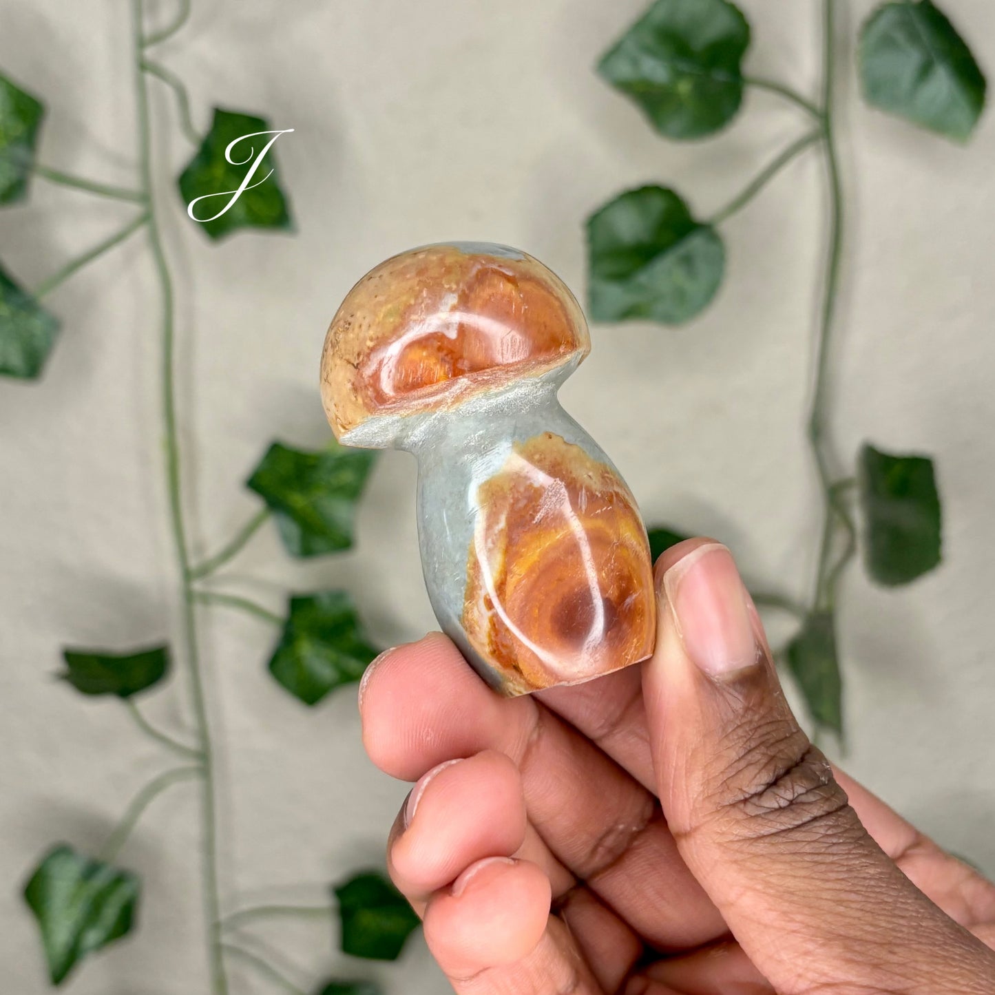 Polychrome Jasper Mushrooms