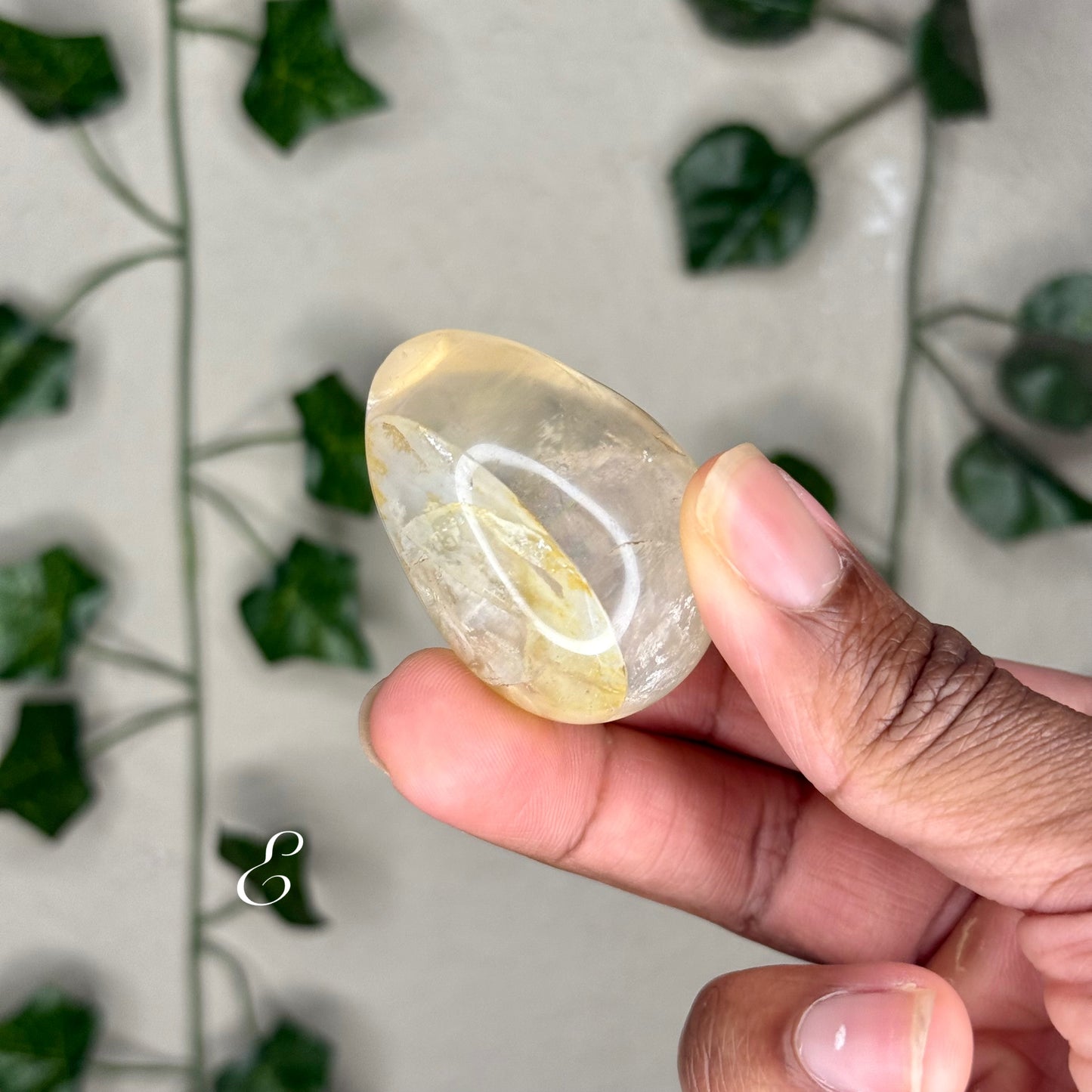 Golden Healer Eggs