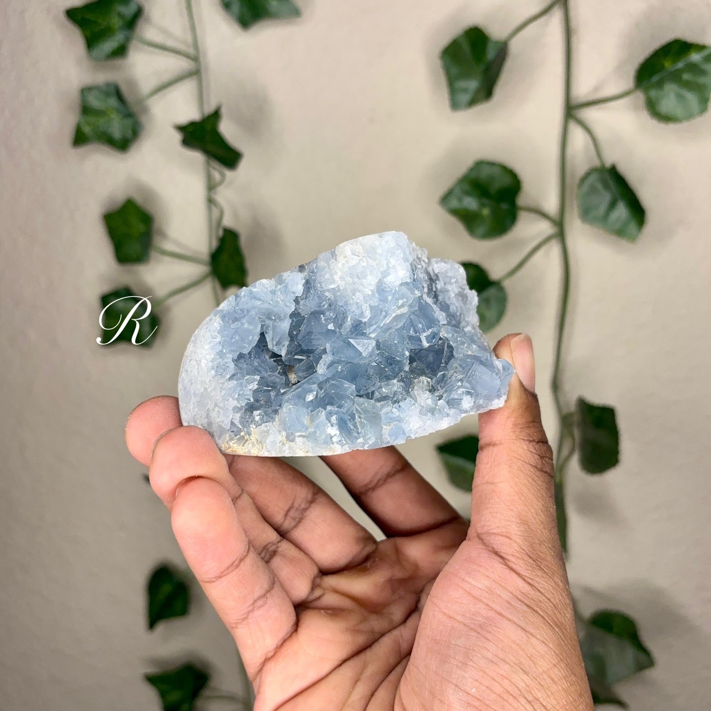 Celestite Clusters