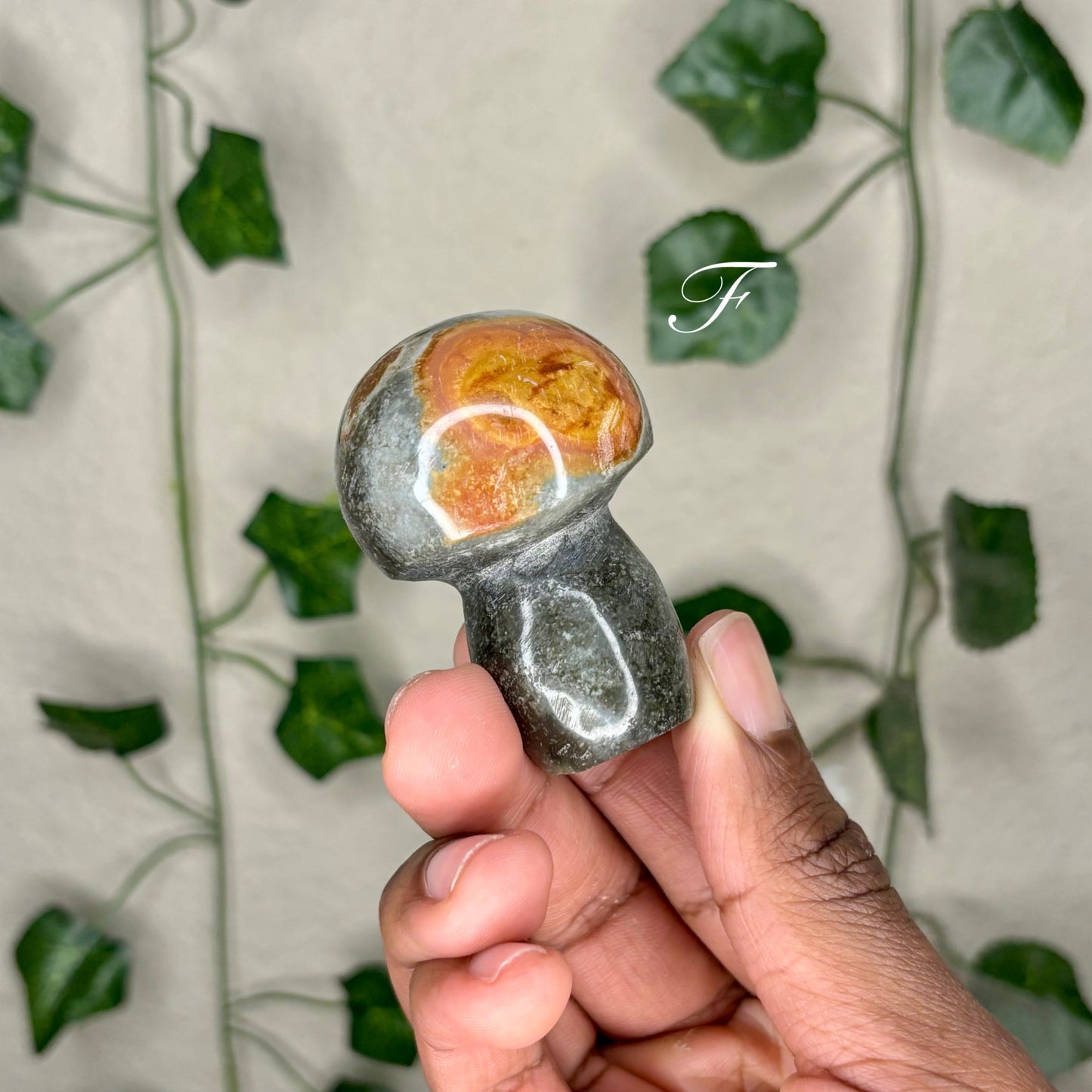 Polychrome Jasper Mushrooms