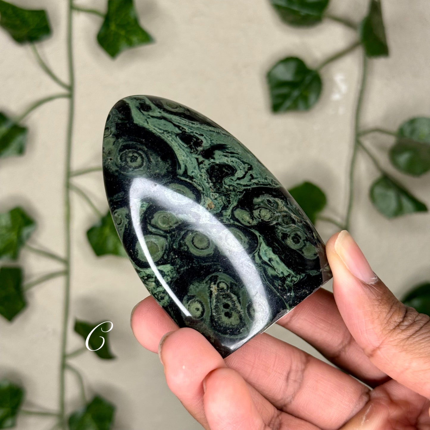 Kambaba Jasper Freeforms