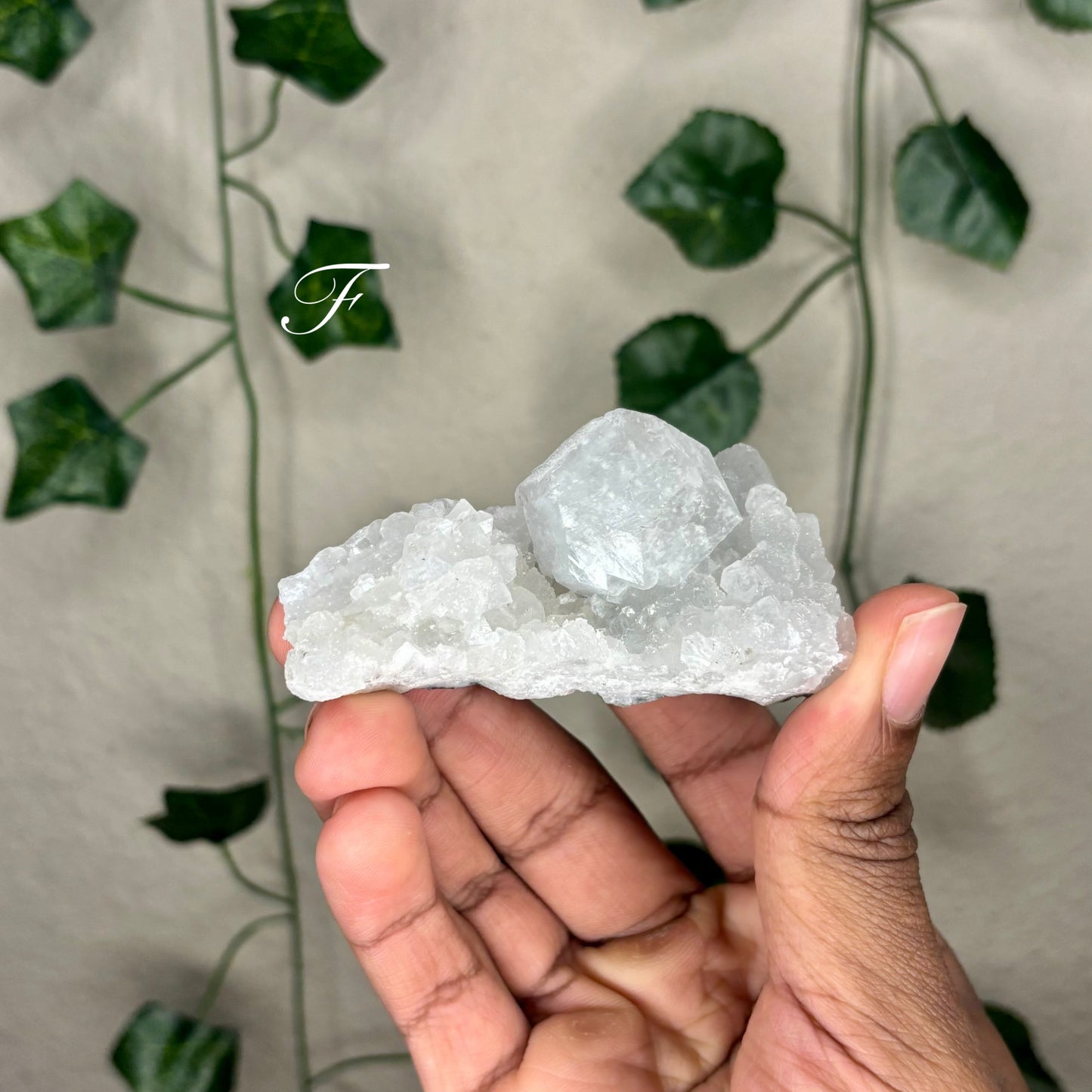 Apophyllite Clusters