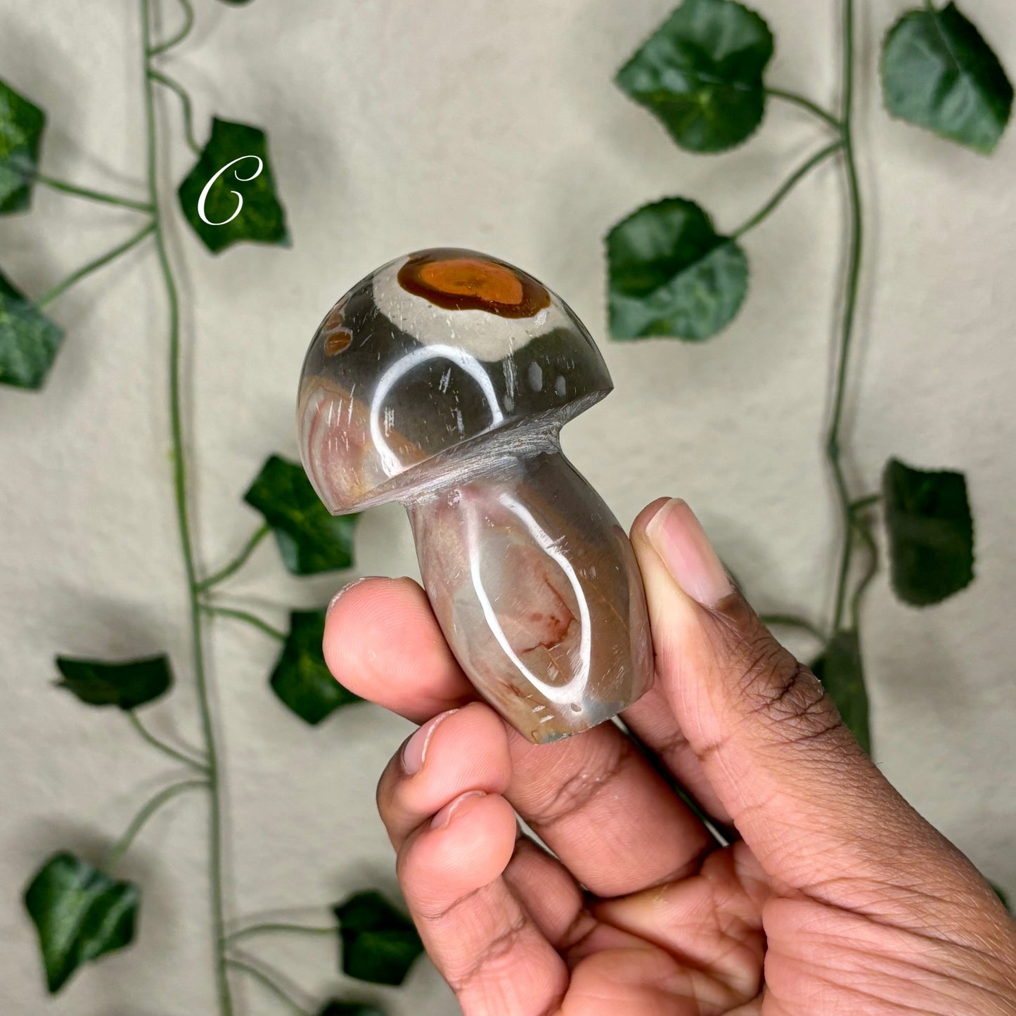 Polychrome Jasper Mushrooms