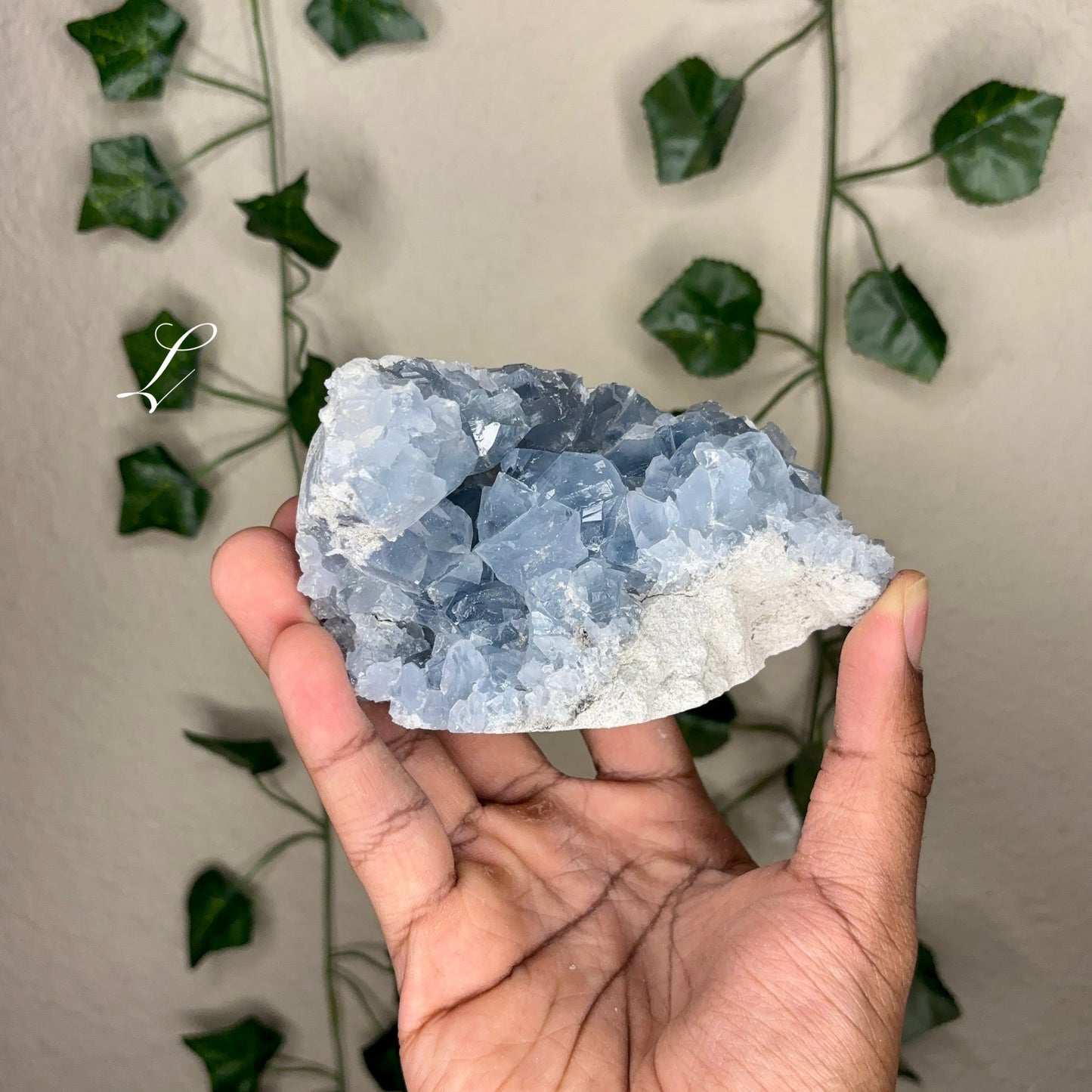 Celestite Clusters