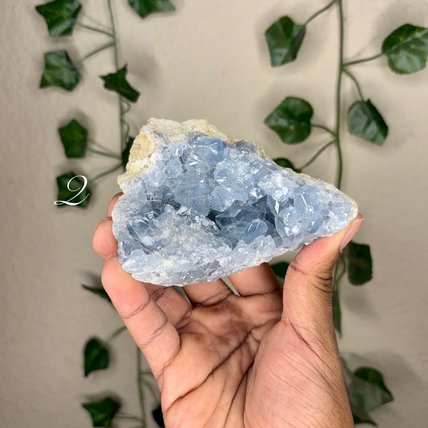 Celestite Clusters