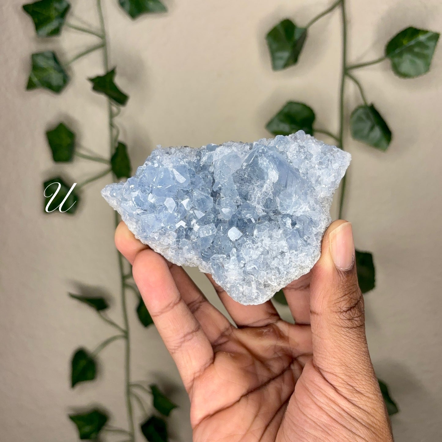 Celestite Clusters