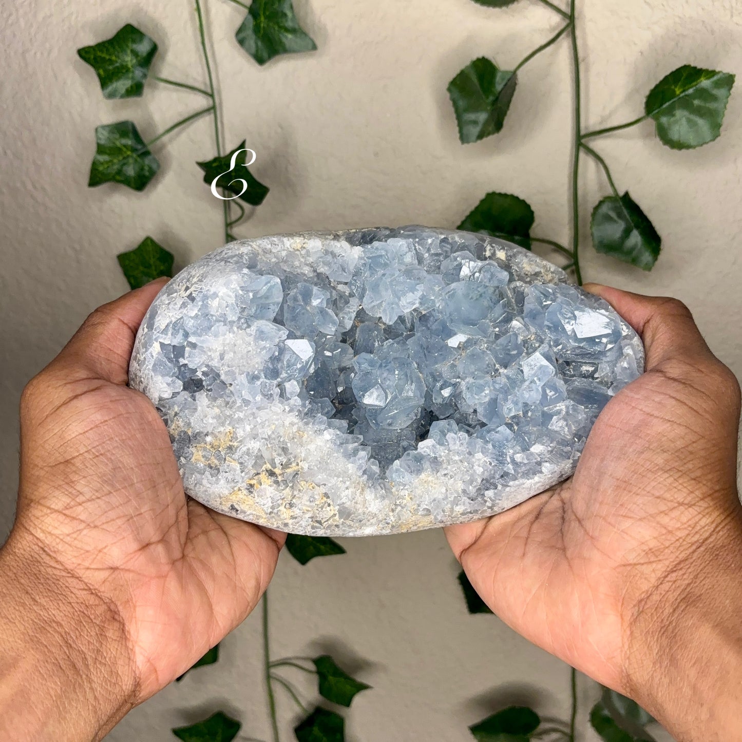 Celestite Clusters