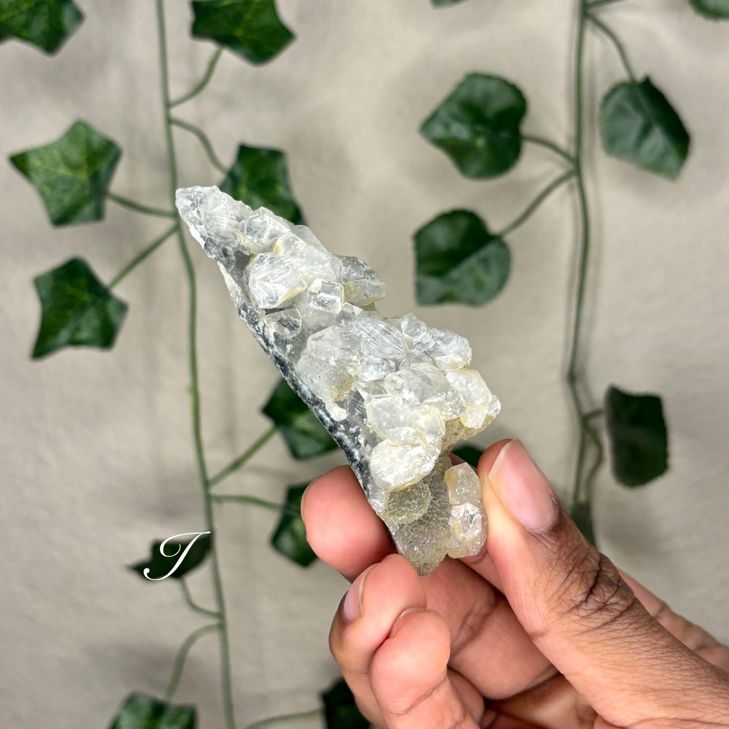 Apophyllite Clusters