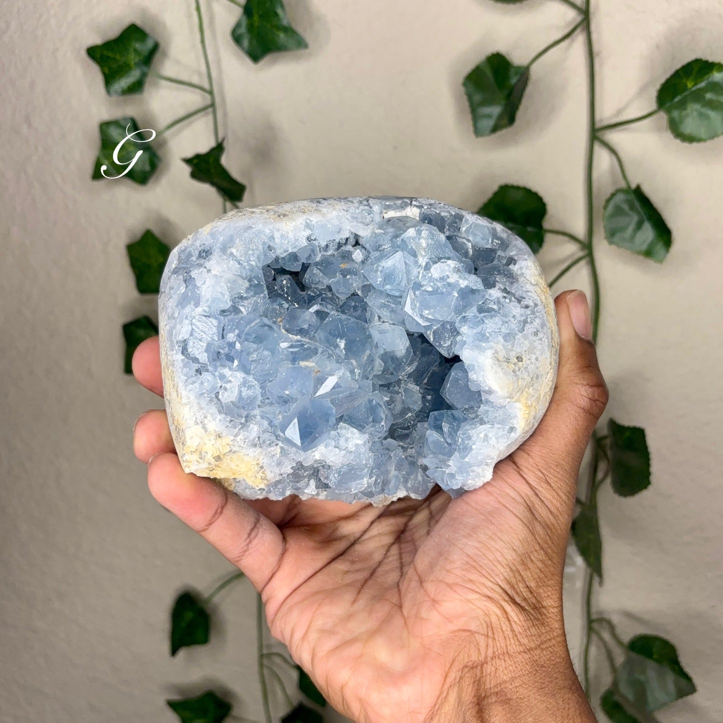 Celestite Clusters