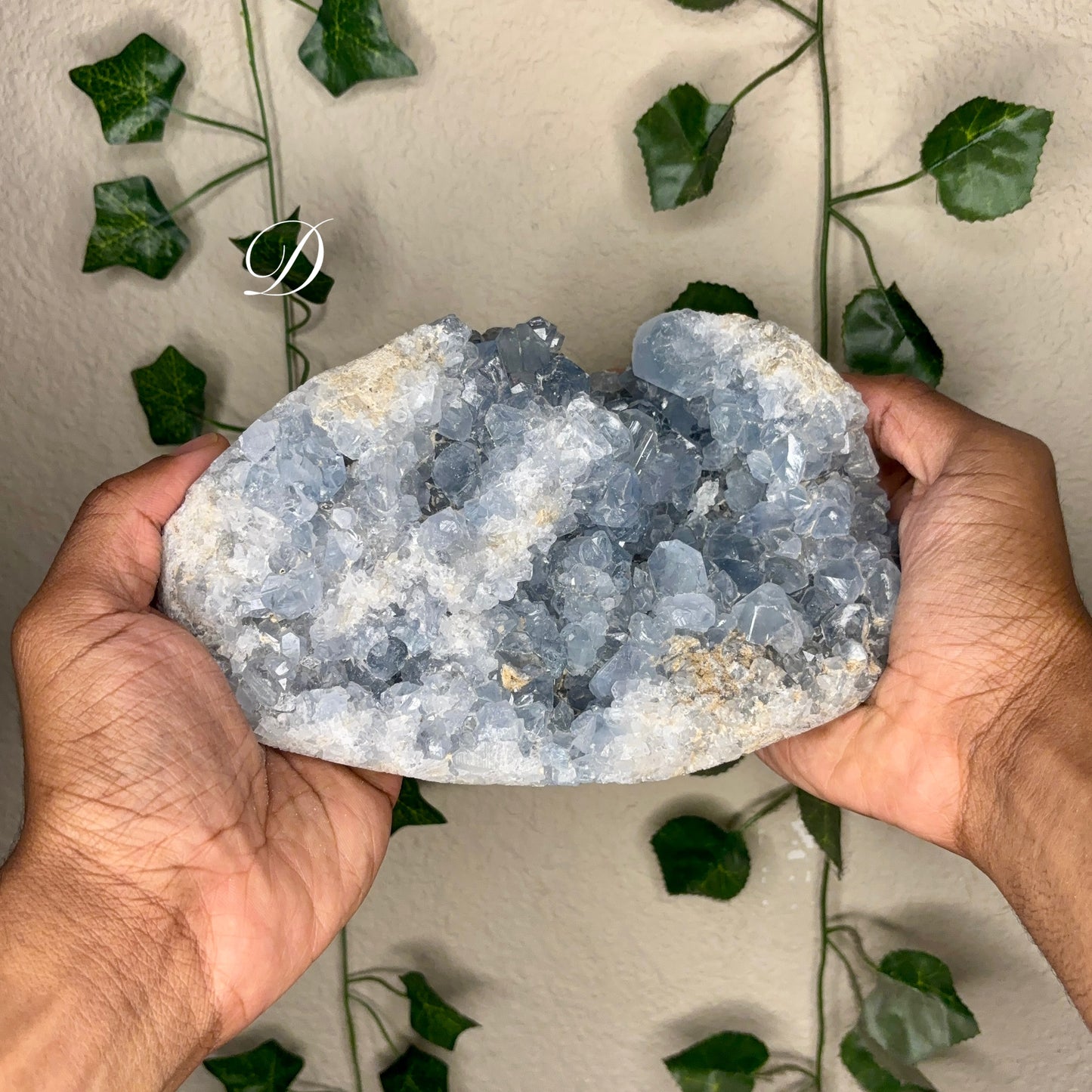 Celestite Clusters